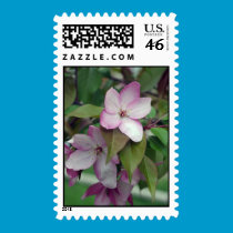Apple Blossom Stamp stamps