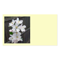 Apple Blossom Tree business cards