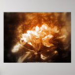 apple blossoms #3, bronze splash posters