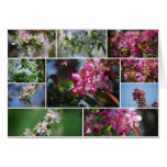 Apple Blossoms and Honey bees Card