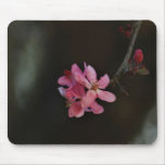 Apple Blossoms and their meaning Mouse Pads