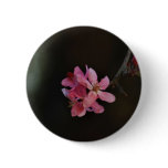 Apple Blossoms and their meaning Pinback Buttons