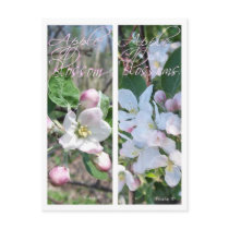 APPLE BLOSSOMS BOOKMARKS postcards