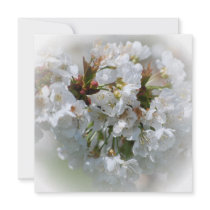 Apple Blossoms Bridal Shower Invitation