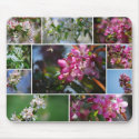 Apple Blossoms Collage Mousepad by catherinesherman Apple Blossoms Collage Mousepad