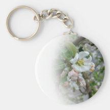 Apple Blossoms Fading Away Keychains