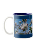 Apple Blossoms in Palisade, Colorado mugs