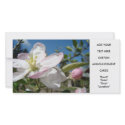 Apple Blossoms Invitation Cards Floral Photo Cards photo cards by Basleeartprintgifts Apple Blossoms Invitation Cards Floral Photo Cards photo cards