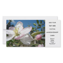 Apple Blossoms Invitation Cards Floral Photo Cards photo cards by Basleeartprintgifts Apple Blossoms Invitation Cards Floral Photo Cards photo cards