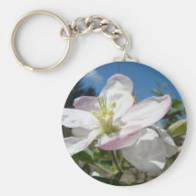APPLE BLOSSOMS KEY CHAINS KEYCHAIN Gifts