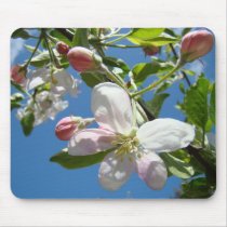 APPLE BLOSSOMS MOUSEPADS Tree Blossoms Mousepad