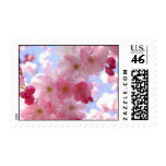 apple blossoms postage stamp