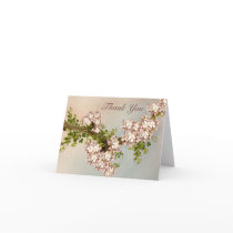 Apple Blossoms Thank You Card