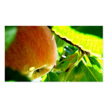 Apple encanta tarjeta de visita