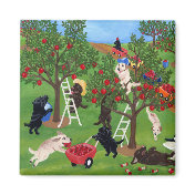 Apple Farm Labradors