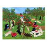 Apple Farm Labradors Postcards