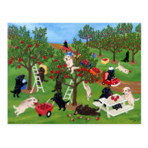 Apple Farm Labradors Postcards