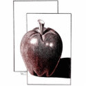 APPLE for Art Teacher photo sculptures by completelove APPLE for Art Teacher photo sculptures