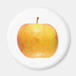 Apple fruit fridge magnet