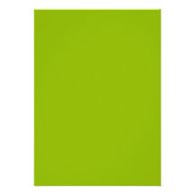 Apple Green Personalized Invitations