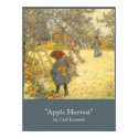 "Apple Harvest" by Carl Larsson posters by cowboyannie "Apple Harvest" by Carl Larsson posters