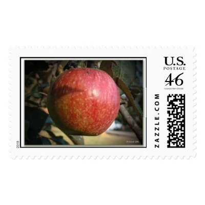 Apple Harvest  Postage Stamps by StarLily