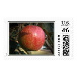 Apple Harvest  postage