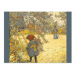 'Apple Harvest' Postcards