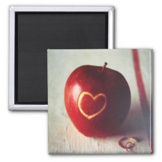 Apple Heart Magnet magnet