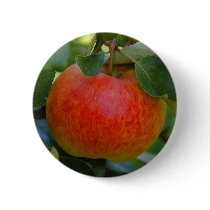 Apple James Grieve buttons