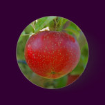 Apple Lobo