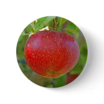 Apple Lobo buttons by Thorninger Apple Lobo buttons