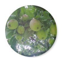 Apple Magnet