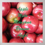 Apple Mela Manzana Pomme Apfel posters
