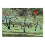 Apple Orchard # 5 cards