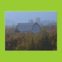 Apple Orchard Barn Postcard