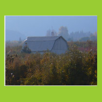 Apple Orchard Barn Postcard postcards