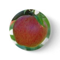 Apple Pederstrup buttons by Thorninger Apple Pederstrup buttons
