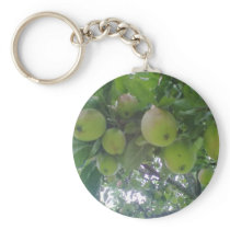 Apple Photo Keychain