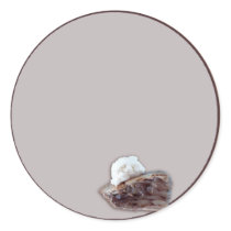 Apple pie a la mode round sticker