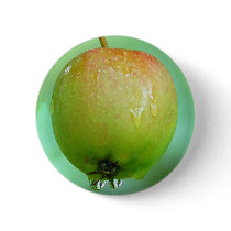 Apple Pigeon buttons