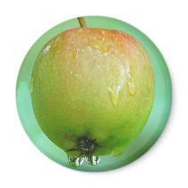 Apple Pigeon magnets by Thorninger Apple Pigeon magnets