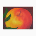 Postal de Apple tarjetas postales by theHOELstudio Postal de Apple tarjetas postales