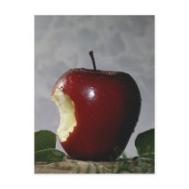 Apple Postcard
