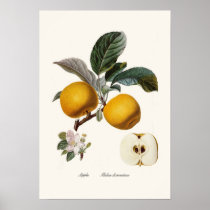 Apple Print