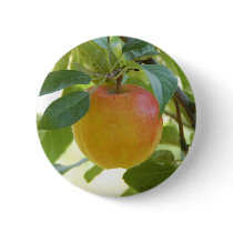 Apple Prima buttons