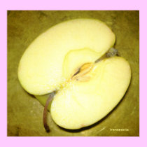 Apple Print