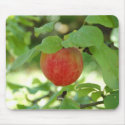 Apple Red Annanas mousepad.