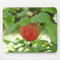 Apple Red Annanas mousepad.