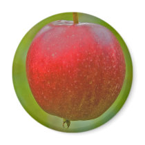 Apple Summer Red magnets by Thorninger Apple Summer Red magnets